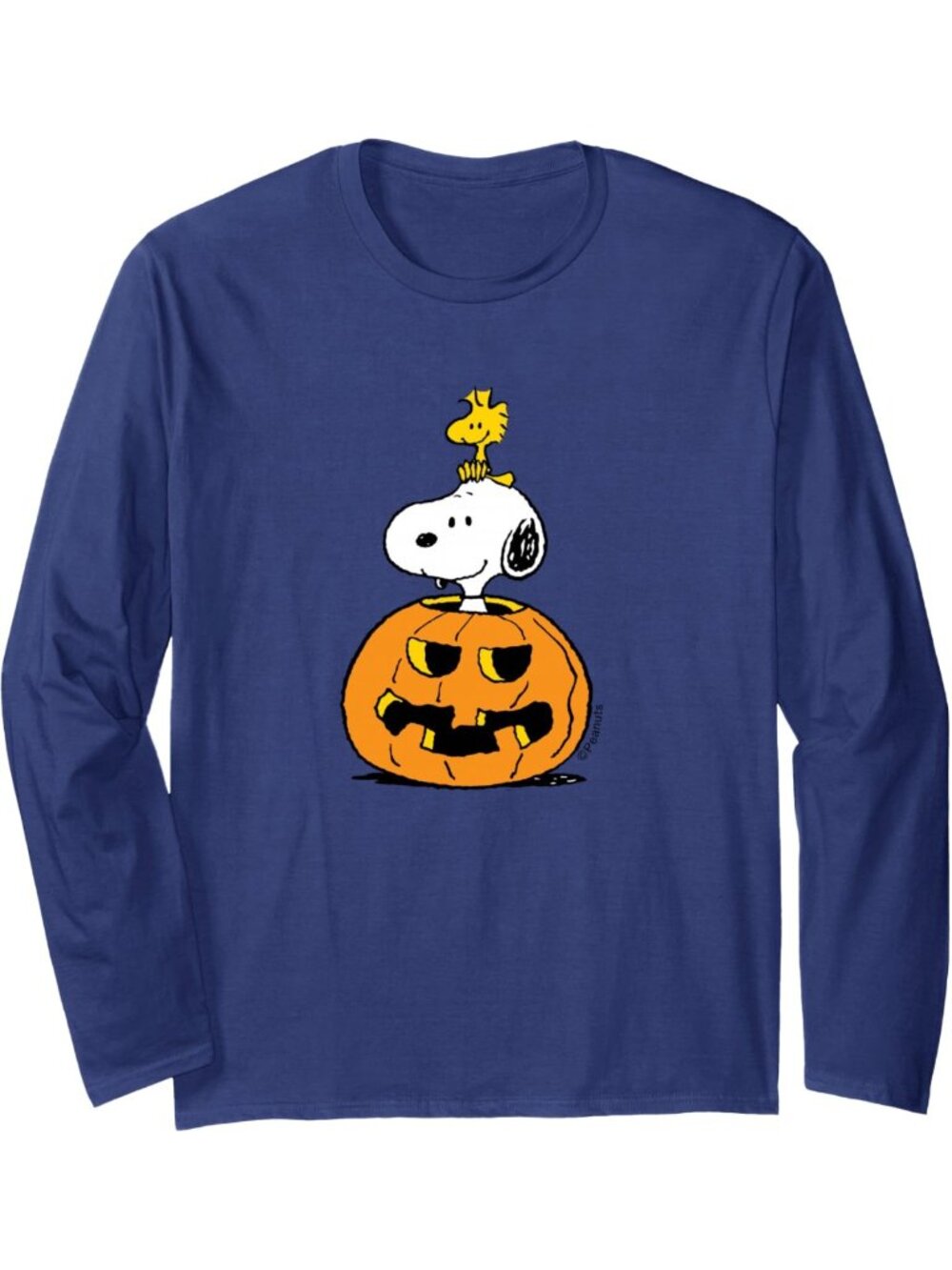 Halloween Snoopy & Woodstock Pumpkin Long Sleeve Tee - Cute Graphic Shirt
